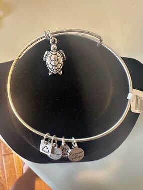 Alex and Ani Silver Charm Bracelet with Turtle